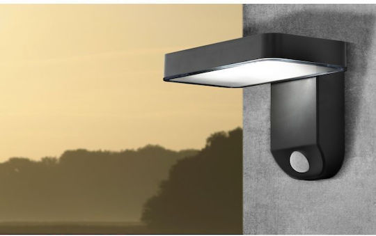 Eglo Pastion Wall Mounted Solar Light 4.5W 200lm Warm White 3000K with Motion Sensor IP44 18cmx12cmcm