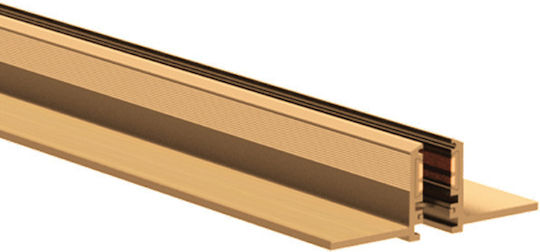 Magnetic Rail Trimless Track 6mm 100x4.05x1.25cm N 25221