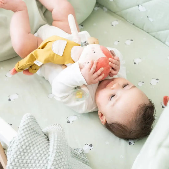 Bonjour Bebe Baby Crib Bedding Set Green