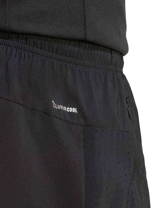 Herren Shorts Schwarz