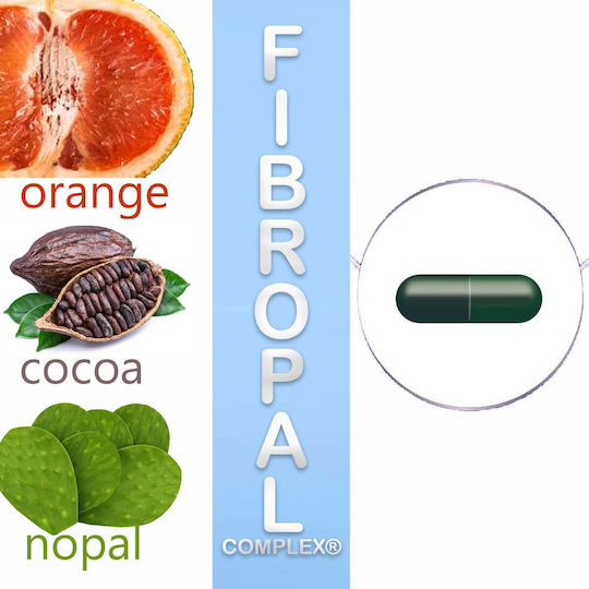 Forte Pharma Calori Light Συμπλήρωμα για Αδυνάτισμα 60 κάψουλες