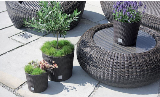 Prosperplast Übertopf Rattan Braun 30x30εκ.