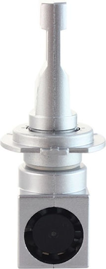 Lămpi Autoturismului H7 Canbus LED 6500K Alb rece 12-24V / 36V 40W 2buc