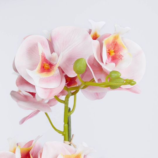 Florista Orhidee Ghiveci Înalt 51cm Portocaliu Deschis Portocaliu Diametru 11cm X Înălțime 51cm