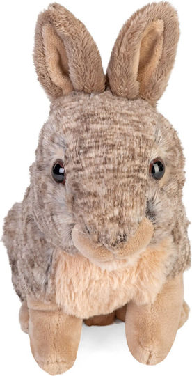 Wild Republic Plush Bunny for 3+ Years 20 cm