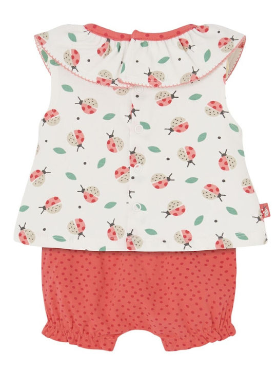 Boboli Boboli
