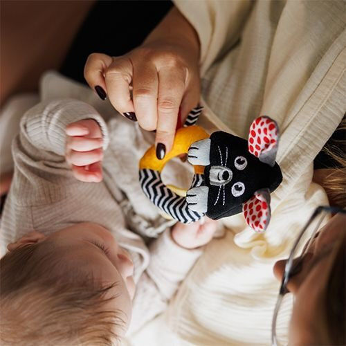 Babyono Baby Activity Toy Mouse with Sounds for Newborns