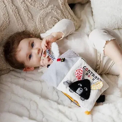 Babyono Activity Book Contrast Book Mouse Fabric with Sounds for Newborns