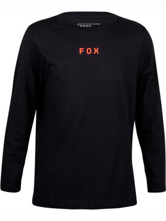 Fox Fox