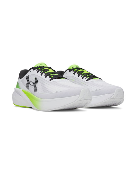 Velociti Sport Shoes Running Colorful