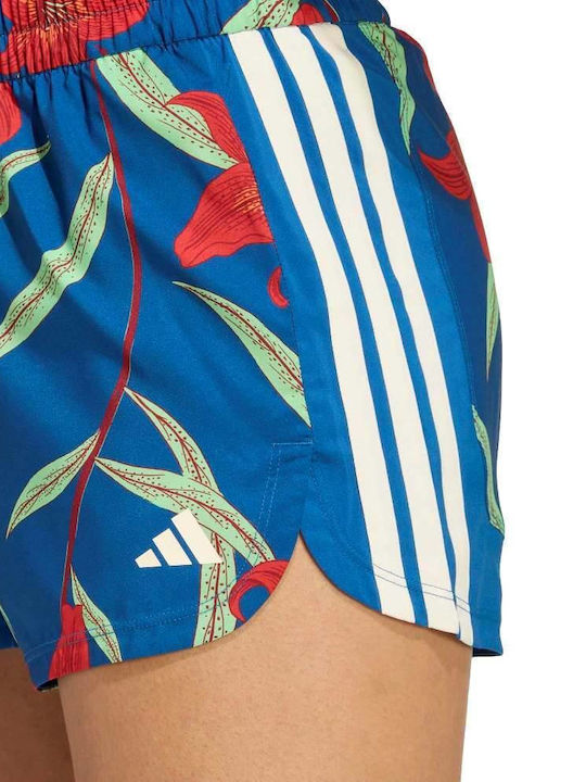 Damen-Shorts - Bermudas Dunkelblau