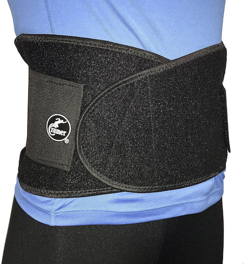 Cramer Elastic Back Brace For Pain Relief