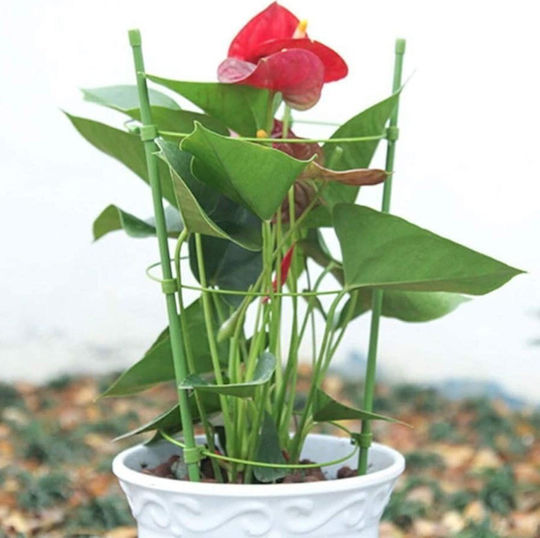 Bradas Στηρίγματα Φυτών 75cm με Δακτύλιο Στήριξης