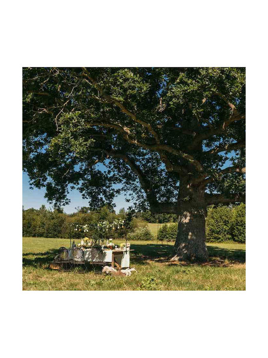 Beauty Home Διακοσμητικό Βάζο Γυάλινο Milo Πορτοκαλί Y10.5cm
