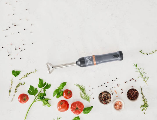 Black & Decker Hand Blender with Stainless Steel Rod Black