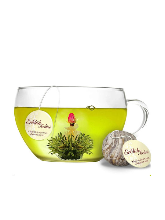 Creano Cană Ceai Sticlă Multicolor 200ml
