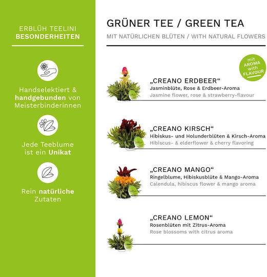 Creano Tasse Tee Glas Mehrfarbig 200ml