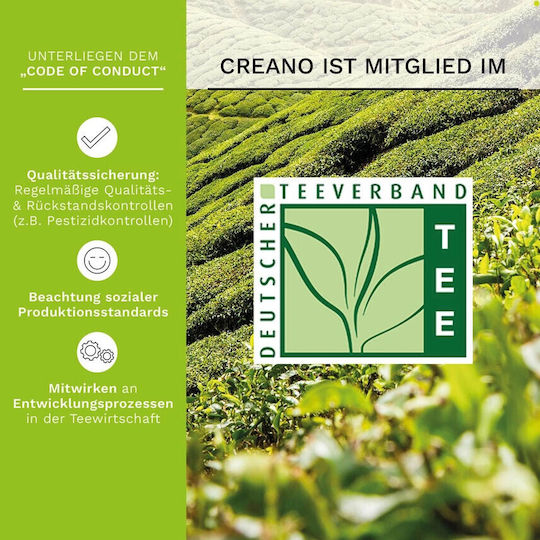 Creano Tasse Tee Glas Mehrfarbig 200ml