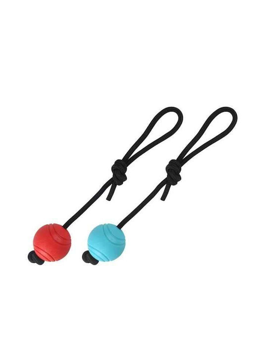 Schulung Hundespielzeug Blau