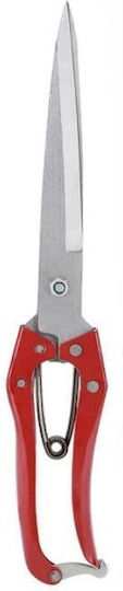 Kitchen Scissor 30.5cm