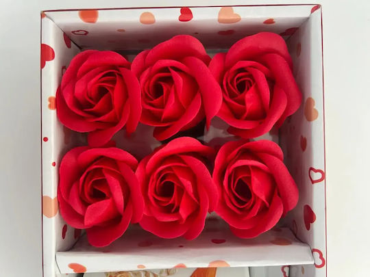 Red Gift Box Transparent Lid Includes 6 Red Roses
