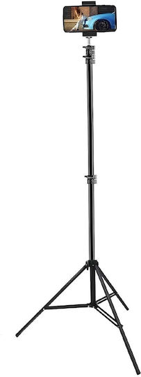 Avizar Adjustable Telescopic Tripod 1.6m Smartphone Holder Black