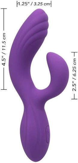 Calexotics Stella C Вибратор Заек 19см