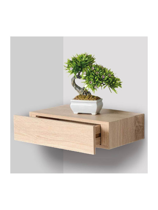 Regal Wand Oak 40x24x10cm