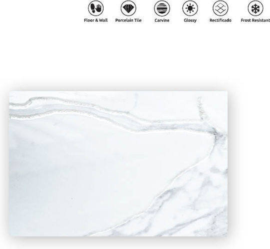 LV Granito Fliese Boden / Wand Innenbereich 120x60cm Gray