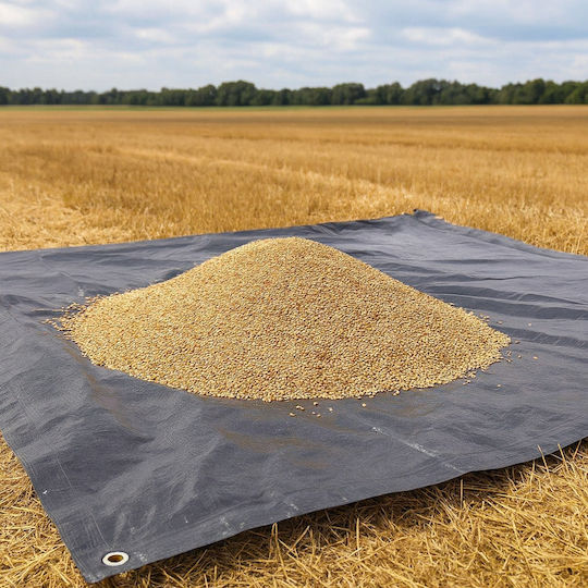 Pânză Impermeabilă 3x4m 200g/m² Densitate Inele De Prindere Gri Închis
