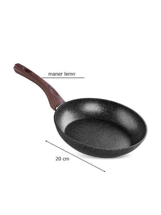 SGTT Aluminum Pan with Non-Stick Coating 20cm