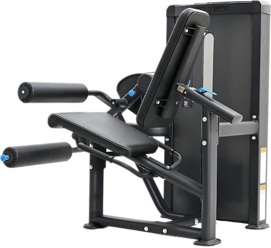 FFITTECH Όργανο Μηριαίων Δικεφάλων με Βάρη 80kg