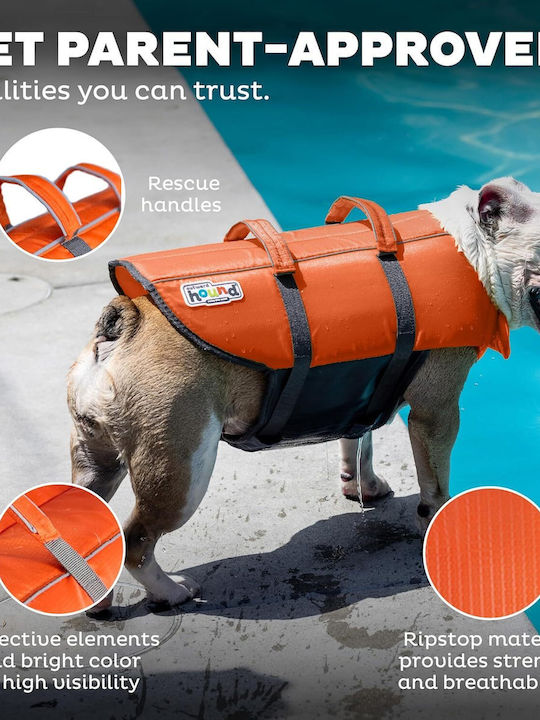 Vesta de Salvare pentru Câini Mărimea L Outward Hound Granby Splash Greutate Minimă 25 Kg Portocalie Accente Reflectorizante Curele Reglabile Bandă Abdominală Mâner de Salvare Vesta de Salvare pentru Câini Mărimea L Outward Hound Granby Splash Greutate Minimă 25 Kg Portocalie Accente Reflectorizante Curele Reglabile Bandă Abdominală Mâner de Salvare