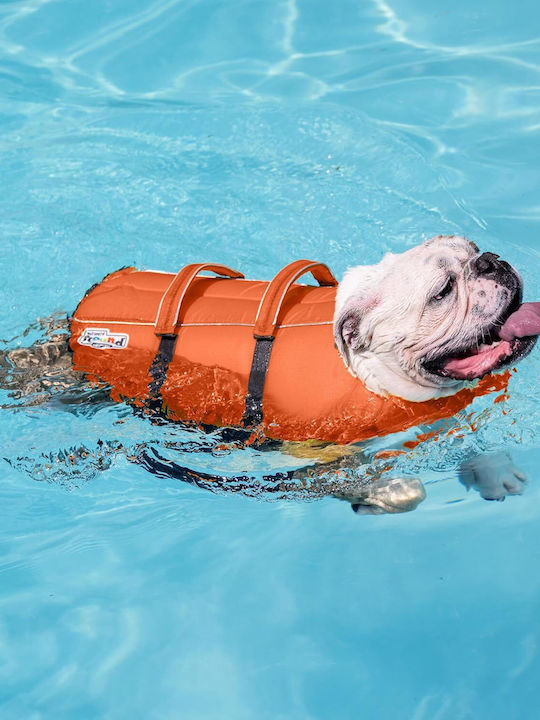 Vesta De Salvare Pentru Câini Mărimea S Outward Hound Granby Splash Greutate Minimă 6,5 Kg Portocalie Accente Reflectorizante Curele Reglabile Bandă Abdominală Mâner De Salvare