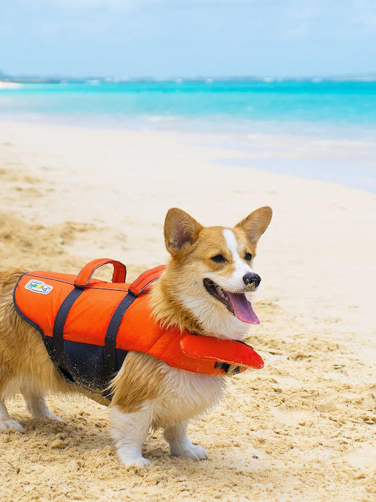 Vesta De Salvare Pentru Câini Mărimea S Outward Hound Granby Splash Greutate Minimă 6,5 Kg Portocalie Accente Reflectorizante Curele Reglabile Bandă Abdominală Mâner De Salvare