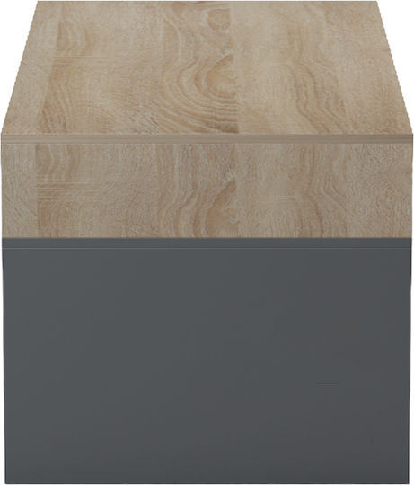 Măsuță Laterală Rectangulară Consa din Lemn Antracit L120xL60xÎ52.8cm