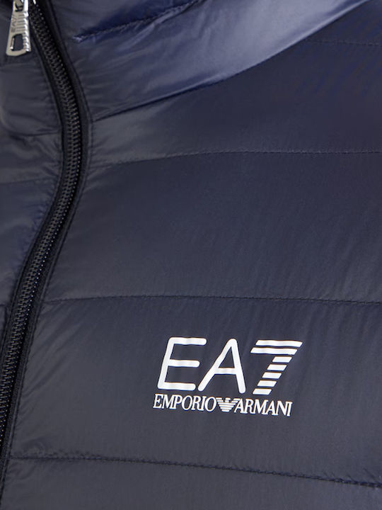 Jacket Blue