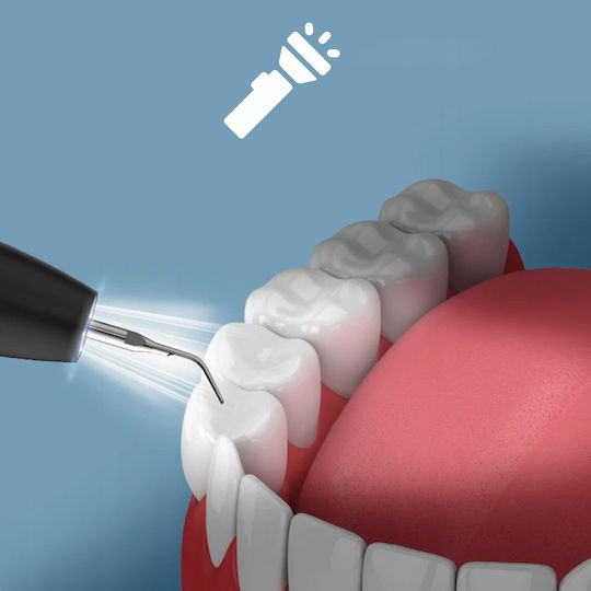Ultrasonic Tooth Scaler Tartar Removal Dental Led