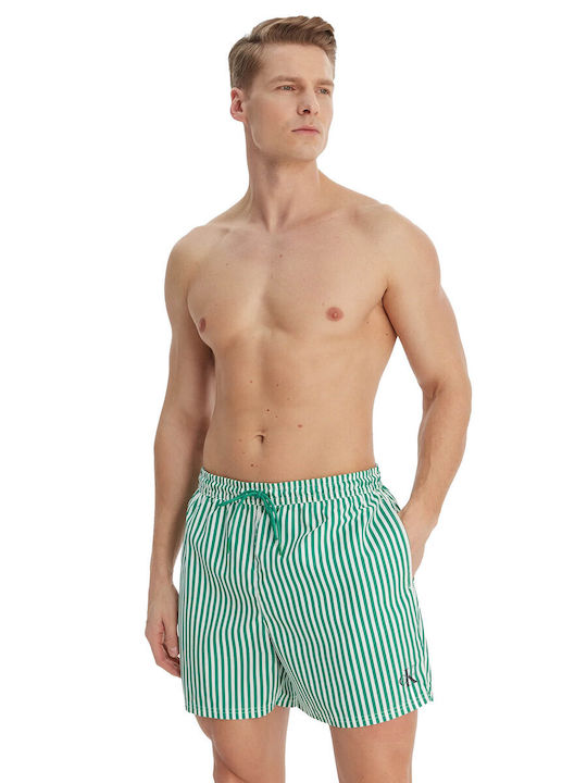 Men's Swim Shorts Green Striped
