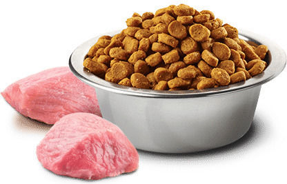 Farmina N&D Pumpkin Adult Mini 7kg Dry Food Grain-Free for Adult Small Breed Dogs with Chicken, Pomegranate and Pumpkin