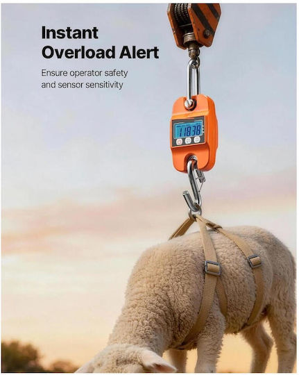 OMS Affettatrici Cântar Profesional de Precizie cu Capacitate de Cântărire 400kg și Precizie 100g