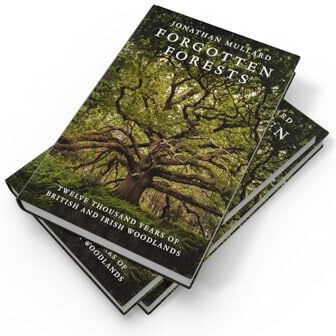 Forgotten Forests - Harpercollins Publishers - Hardback