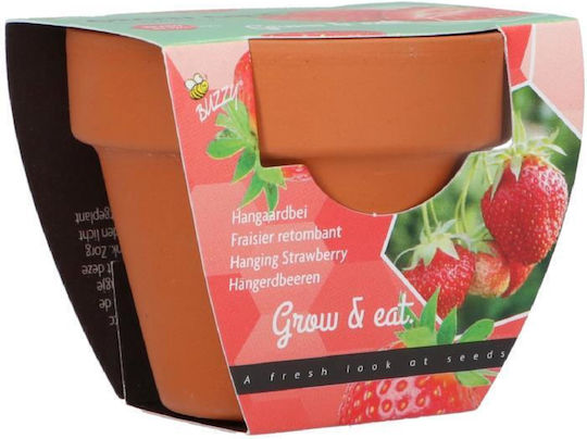 Strawberry Cultivation Kit – Ideal Gift For Children's Party