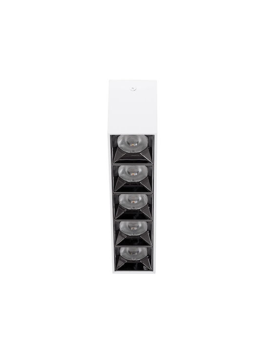kelvo LED Natural White Spot in White Colour