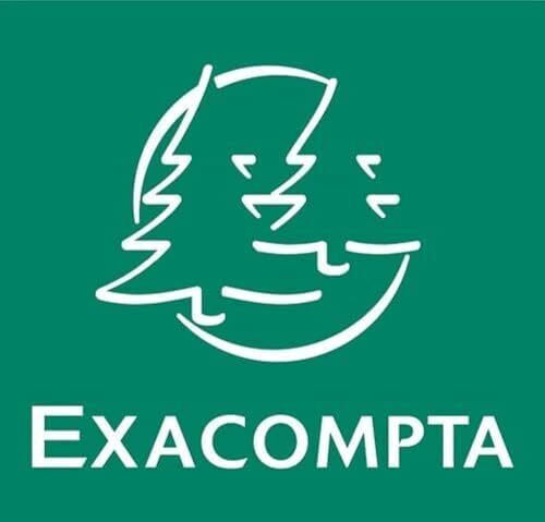 Exacompta 427000b Pachet 250 Benzi Colorate De Carton Pentru Fixare Dosar Comercial Cu Capse Ideal Pentru Birou Și Școală