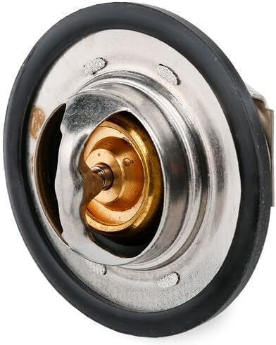 Thermostat Coolant Gates Th23389g1