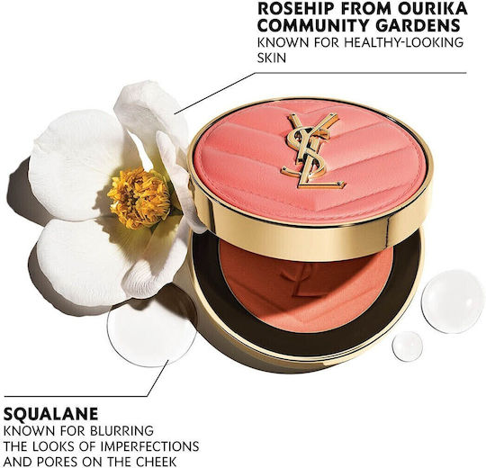 Ysl Blush Make Me 10 Fg Os 6g