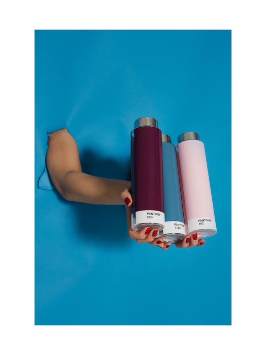 Pantone Παγούρι 500ml Μωβ