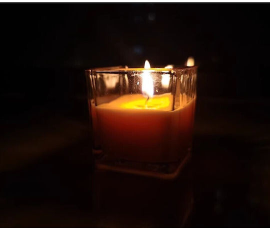 Alista Home Aromatic Candle in Jar with Cinnamon Perfume 170g