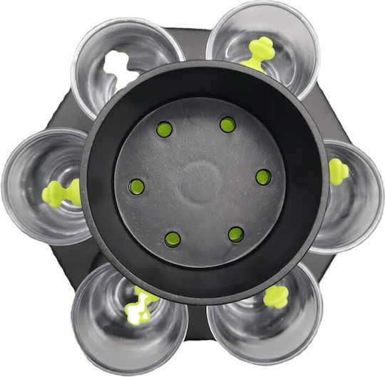 Suport Dispenser Hexagonal Pentru Shot Alista Home Set Complet 6 Pahare Cutie De Ambalaj Separator Dispenser Joc De Băutură Negru